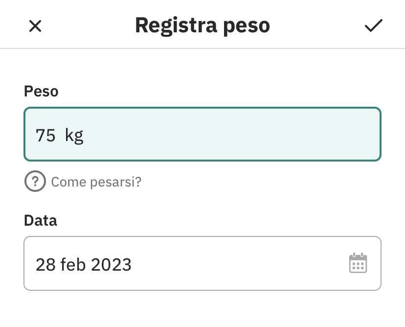 IT_Weight_tracker_2.jpg