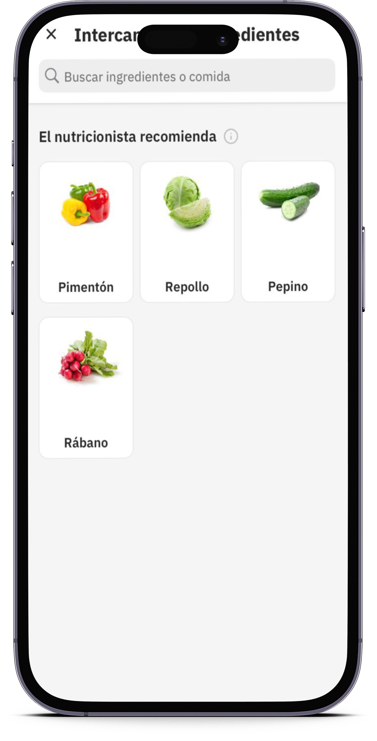 smartmockups_lnool975.png