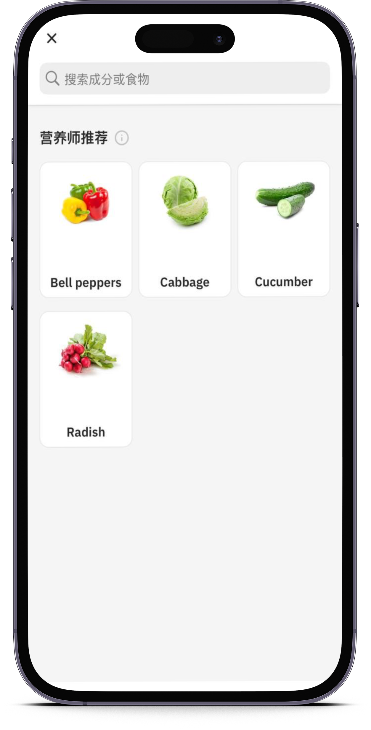smartmockups_loddpcja.png